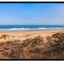 QUADRO A PRAIA