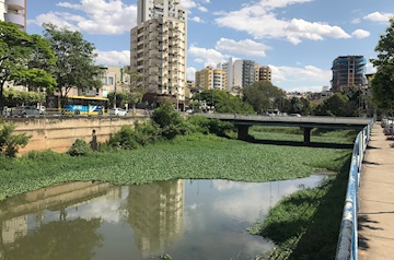 Força-tarefa para limpeza do Rio Muriaé começa na próxima semana