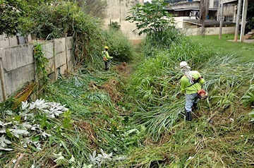 DEMSUR realiza limpeza de córrego no Bico Doce