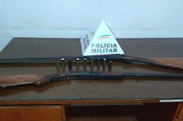 Palma: Polícia Militar apreende armas de fogo em matagal