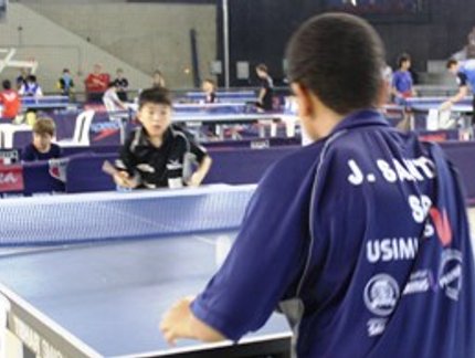 GALINHO DE OURO CONQUISTA QUATRO MEDALHAS NO TORNEIO INÍCIO PAULISTA