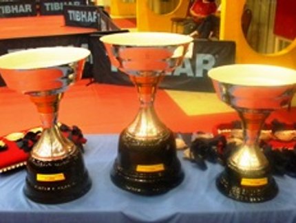 ÁLBUM DE FOTOS DA PREMIAÇÃO DO EVENTO Paralímpico
