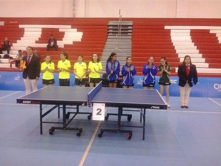 Sul-Americano mirim/pré-mirim: Seleção faz dobradinha e leva os títulos mirins por equipes