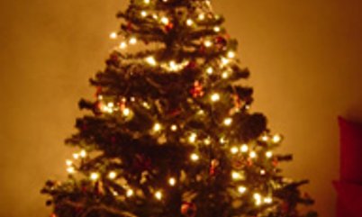 CONFIRA OS DESEJOS DE NATAL DOS NOSSOS ATLETAS