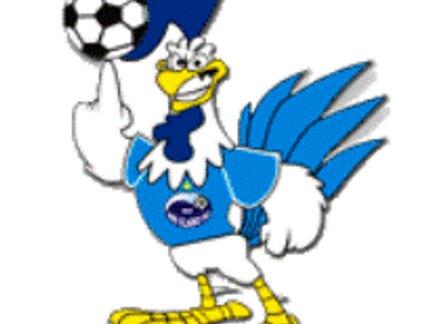 CARLOS CARBINATTI LEVA O GALO AZUL PARA O MUNDO