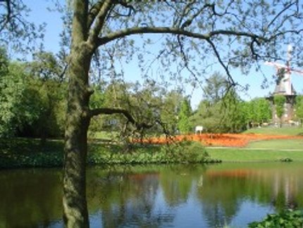 BREMEN: UMA CIDADE TODA EM VERDE