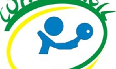 PESQUISAS AVALIAM COPAS BRASIL