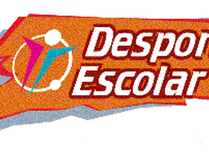 SECRETARIA PROMOVE CURSO SOBRE PRÁTICA DE ESPORTE POR ALUNOS ESPECIAIS