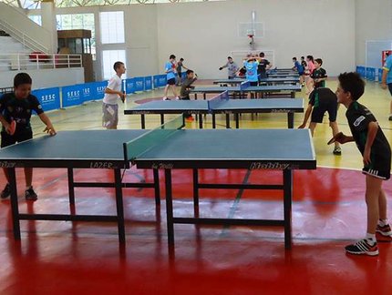 SESC Rio do Sul promove: 4ª e 5ª Etapas dos Festivais de Tênis de Mesa