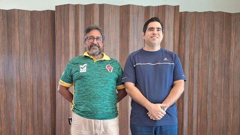 Divulgação