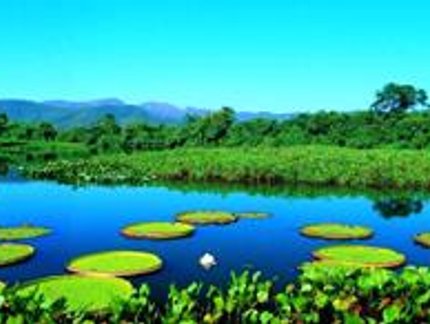 GRAND SLAM DE TÊNIS DE MESA DO PANTANAL COMEÇA EM AGOSTO