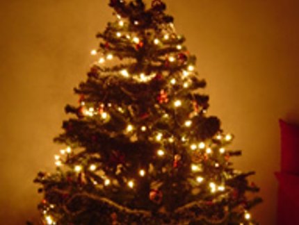 CONFIRA OS DESEJOS DE NATAL DOS NOSSOS ATLETAS