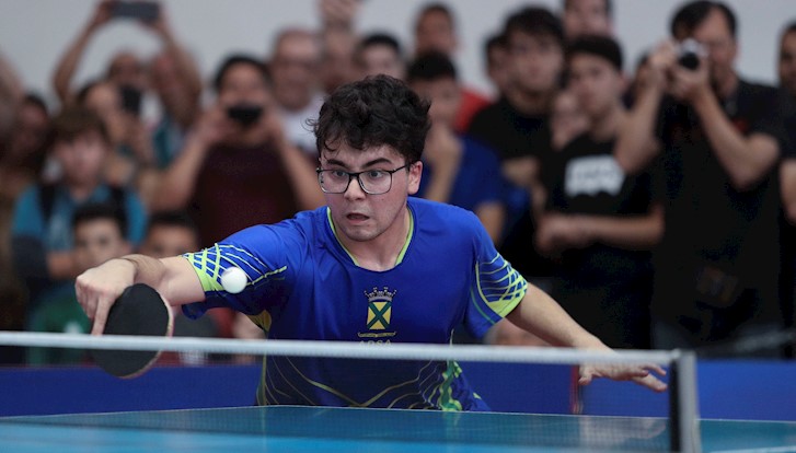 Mesa De Ping Pong Usada Bh