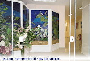 Inst. de Ciência do Futebol